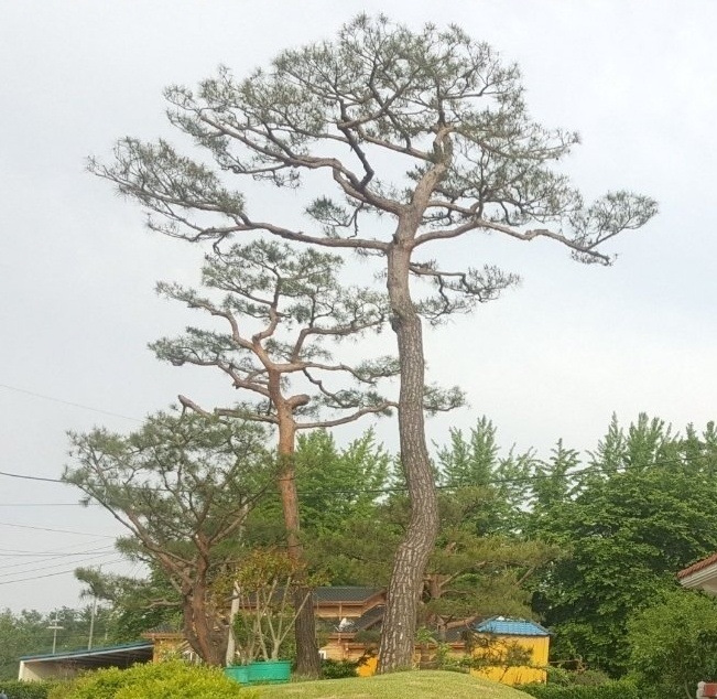 엘에스스팩1호(0041J0) 관련 이미지 7